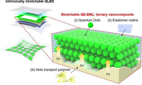 超越oled 可伸缩弹性显示屏qleds技术突破